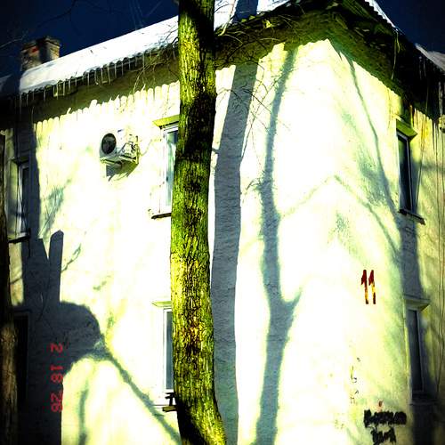 Photo #13467424