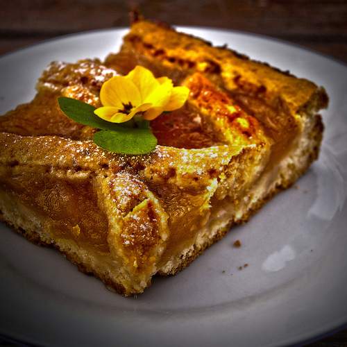 Photo #13467443
