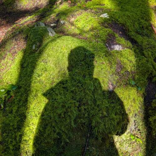 Photo #13467497