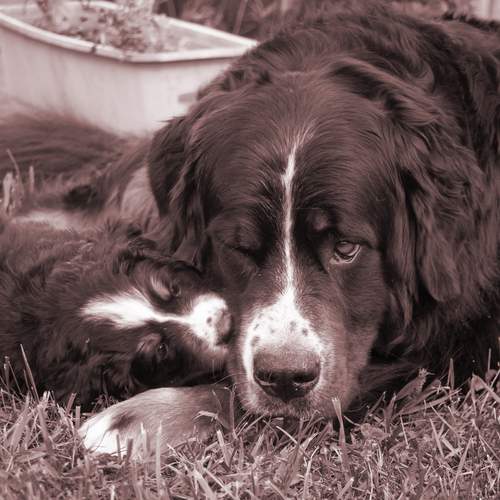 Photo #13467636