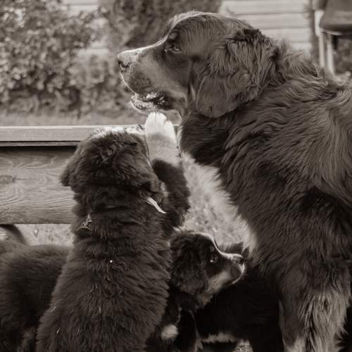 Photo #13467637