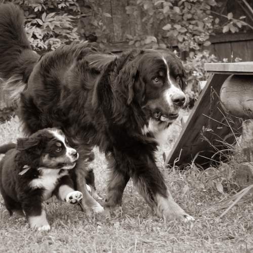 Photo #13467638