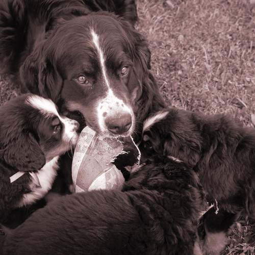 Photo #13467639