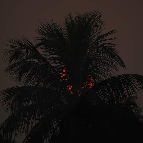 Photo #13467773