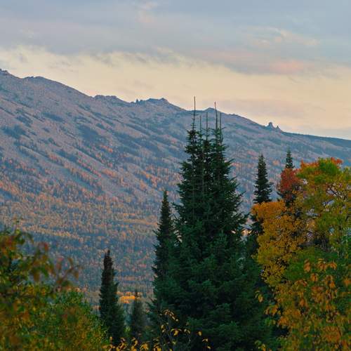 Каменная пила