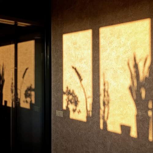 Фотография #13468228