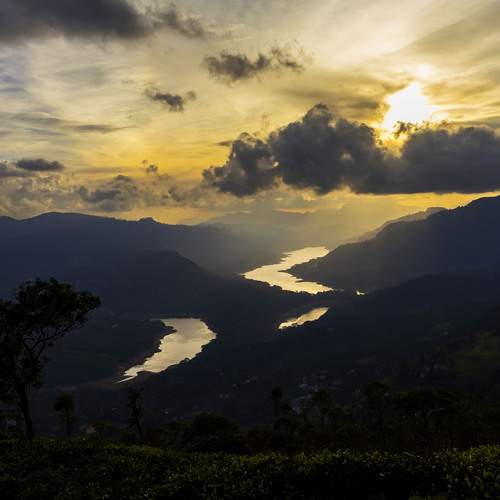 Photo #13468251