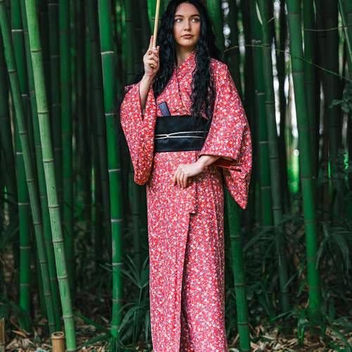 Восточные ноты в бамбуковой роще