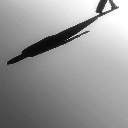 Photo #13468364