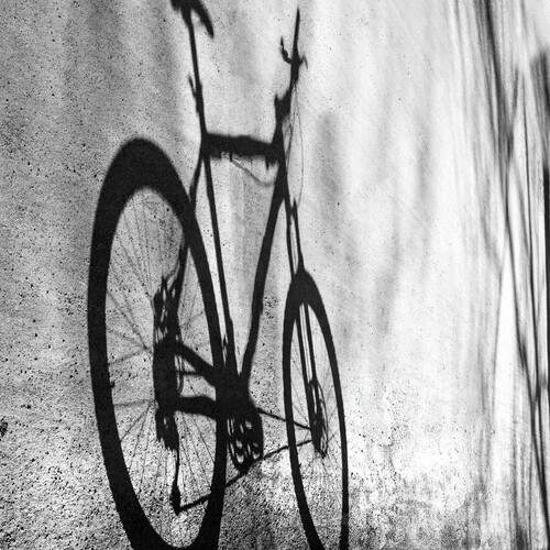 Фотография #13468436