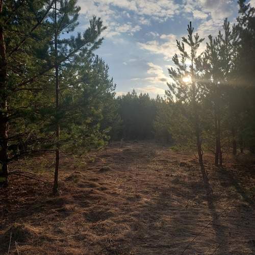 Photo #13468444
