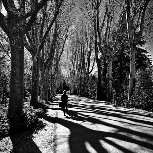 Фотография #13468464