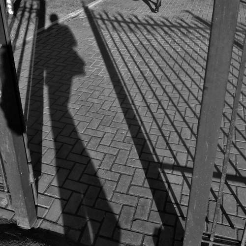 Фотография #13468480