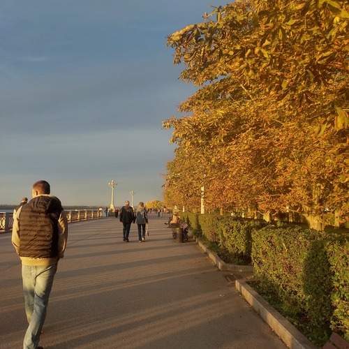 Photo #13468488