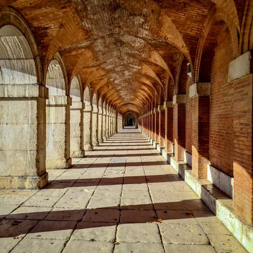 Фотография #13468524