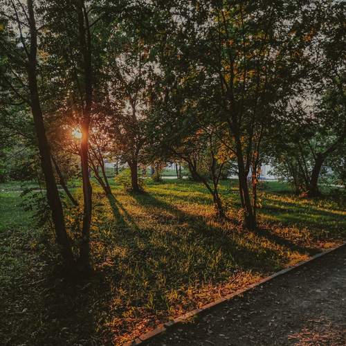 Photo #13468643