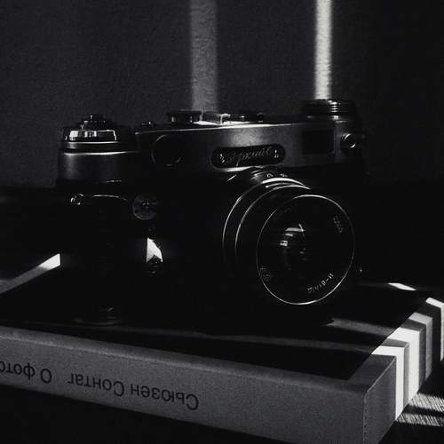 Photo #13468873