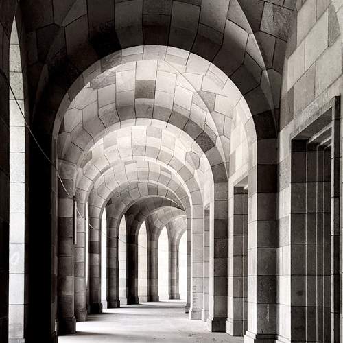 Фотография #13468919