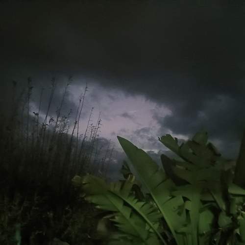 Photo #13469102