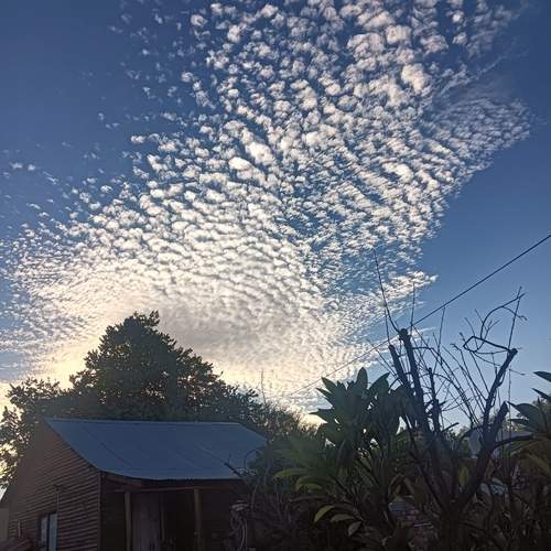 Photo #13469111