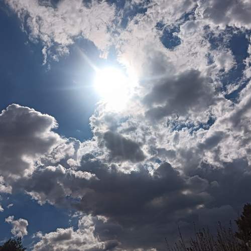 Photo #13469114