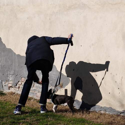 Photo #13469117