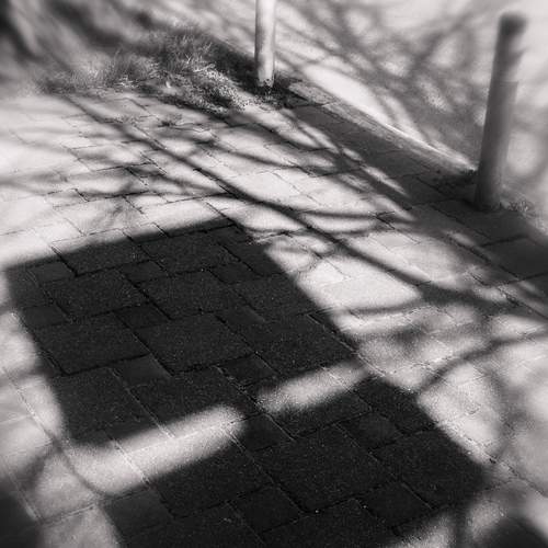 Photo #13469159