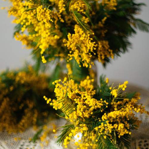 Photo #13469185