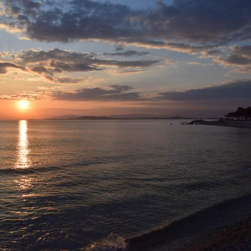 Photo #13469369
