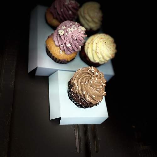 Photo #13469725