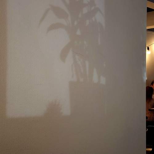 Photo #13469868