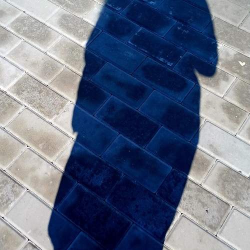 Photo #13470030
