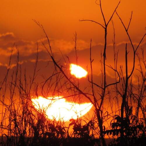Photo #13470039