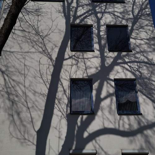 Photo #13470278