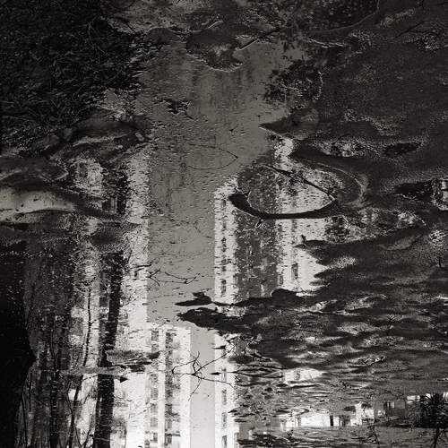 Photo #13470371