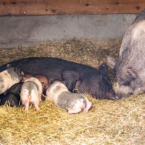 Photo #13470397