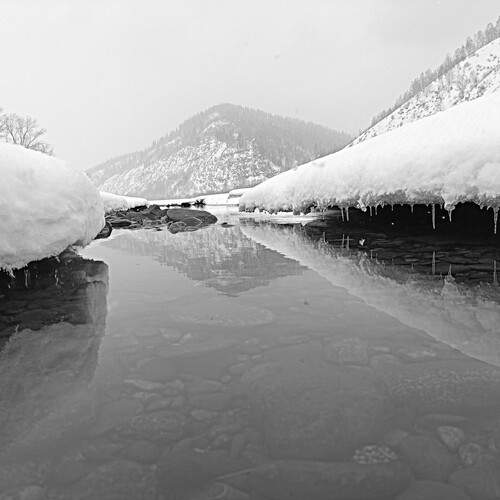 Фотография #13470463