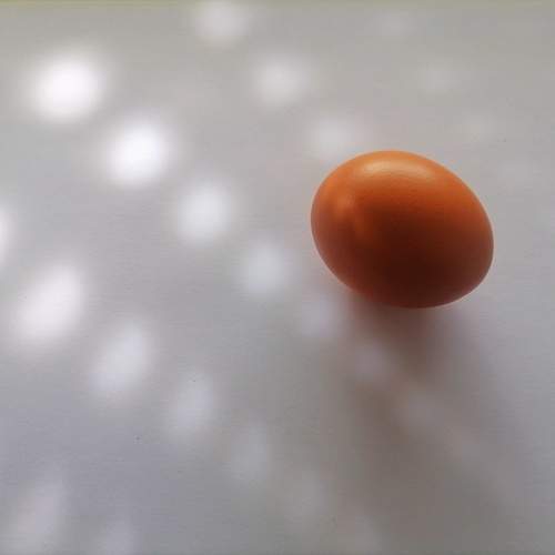 Photo #13470498