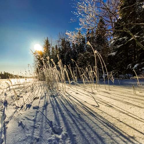 Photo #13470679