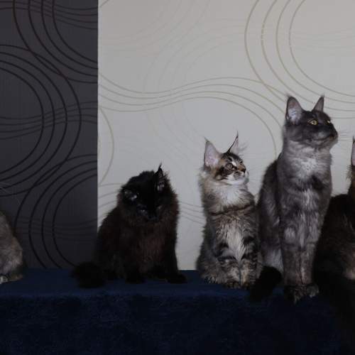 Photo #13470838