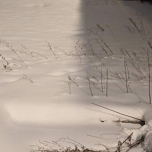 Photo #13470935