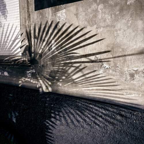 Photo #13471016