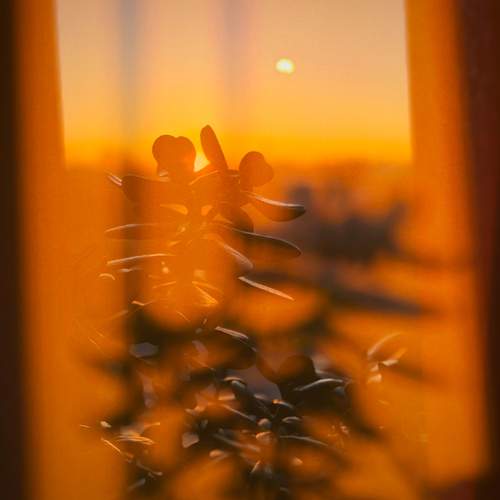 Photo #13471018
