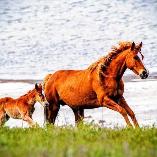 Фотография #13471058