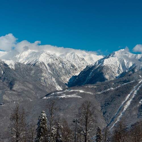 Photo #13471334
