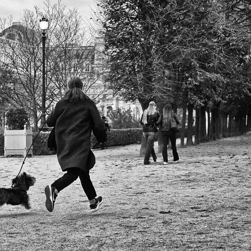 Photo #13471358