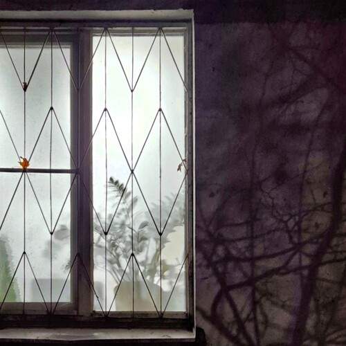 Photo #13471398