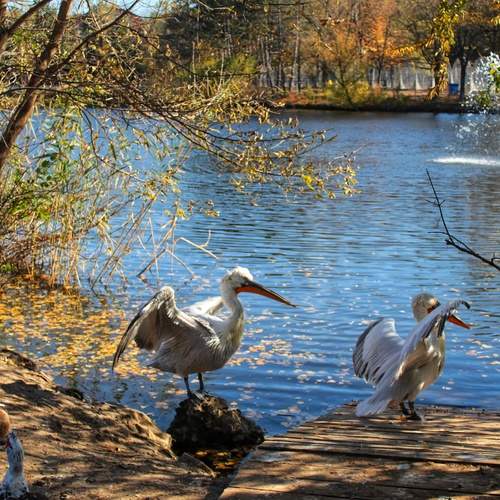 Photo #13471466