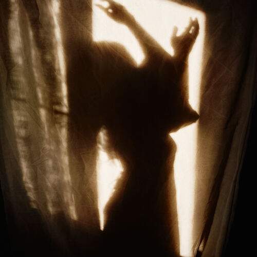 Фотография #13471487