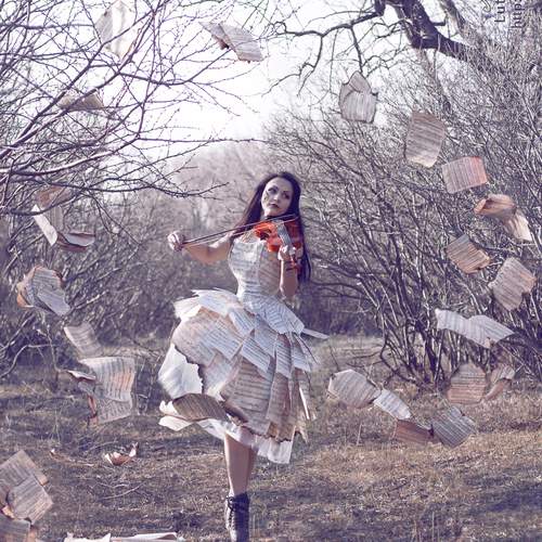 Photo #13471570